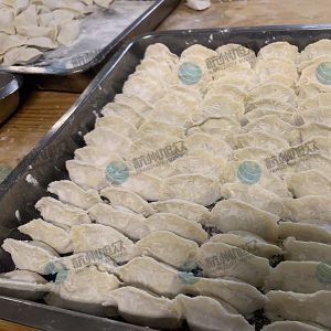 仿手工包餃子機(jī)大小均勻老客戶反饋！