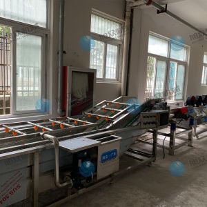 果蔬氣泡清洗機風干流水線多少錢？