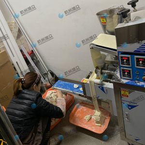 仿手工包餃子機省時省力開店神器！
